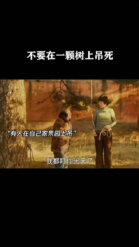 不要在一颗树上吊死!