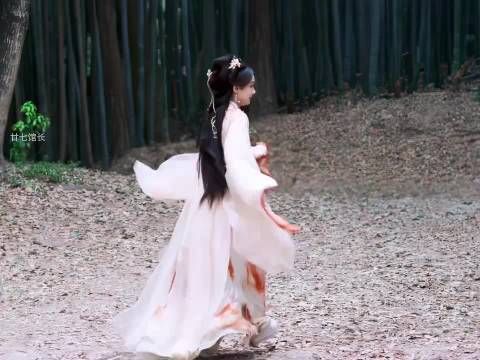 剧集书卷一梦剧情搞笑获观众热捧