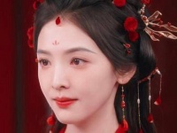 杨雁的独白：在血与泪的交织中，以青丝献祭