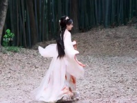 剧集书卷一梦剧情搞笑获观众热捧