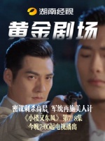 密谋刺杀高晨，军统再施美人计小楼又东风 今晚7：00起电视播出严宽宋轶