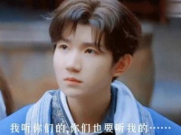 汽车维修工孟超与手机维修店老板景浩共同资助弟弟高远完成学业 王源