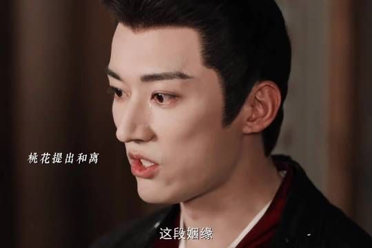 离婚前夜沈在野终于认清了自己心,桃花要合离他偏不让桃花离开✘