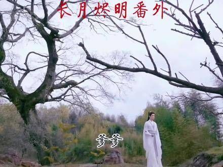 我亲手剪辑的番外篇 一家三口的温馨日常