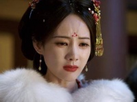 书卷一梦 情感纠葛 注定有人孤独