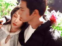 杨紫李现携手守护岁月静好