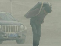 到底是你变心了，还是从一开始就在演戏？ 段奕宏 王锵