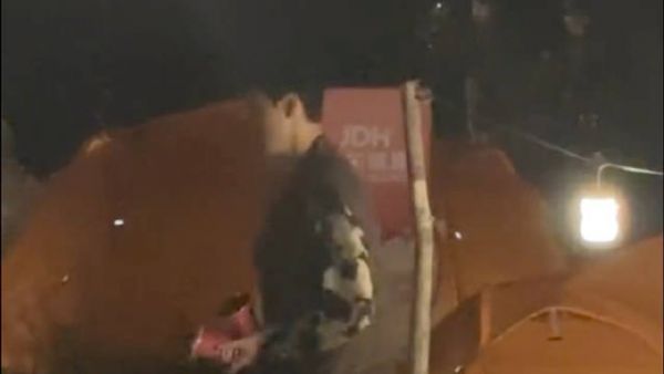 我爸拿的啥啊?泡面? cr.喵咪