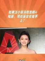 汪小菲取走大s家四幅画时莉莉仅14岁