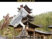 阿飞实在令人心碎