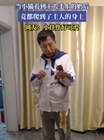 当小猫看到主人手上的奶后，竟都爬到了主人的身上