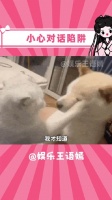 还以为跟她挺能聊的来呢