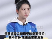何蓝逗回应负评称不在意，下一部戏努力就好