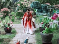 求婚有多浪漫，婚礼就有多虐