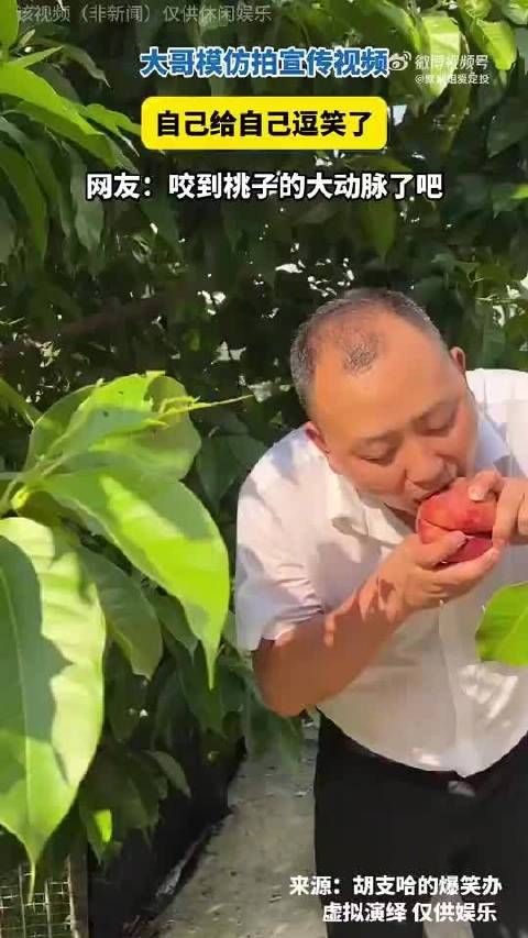 大哥模仿拍宣传视频,给自己逗笑了,第一次见水分这么多的桃子