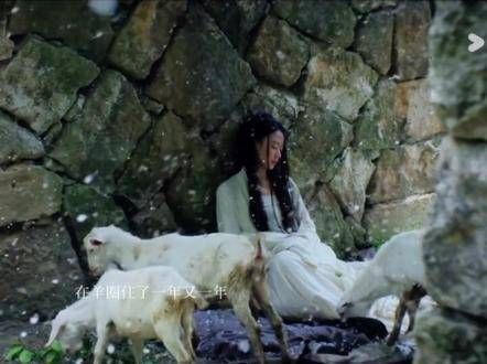 婉宁公主过往无奈致癫狂