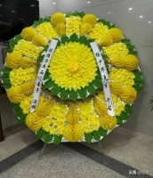 侯耀华送花圈悼念杨少华，挽联谜团引热议，两门弟子究竟是谁？