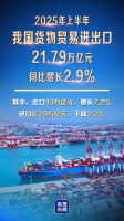 海关总署：上半年我国货物贸易进出口同比增长2.9%
