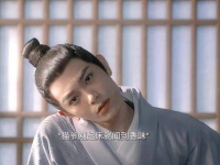 饼爷头疼见陈拾转柔和，赞其用心养猫