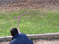 国外版神笔马良一根蜡笔创造新世界！