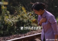 小巷人家鹏飞心疼大舅妈引关注
