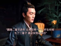 谢必安独留异乡忧心二皇子，临别鞠躬显牵挂