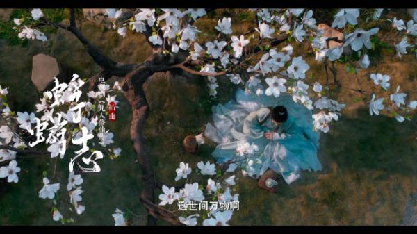 凡人修仙传蜉蝣志MV