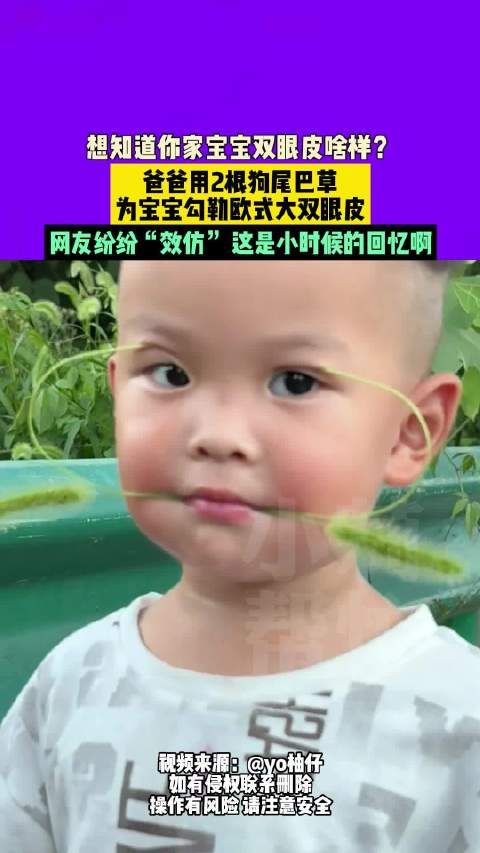 狗尾草勾出宝宝双眼皮