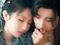 这个少年将军和深宫宠妃的组合简直太带感了！燕迟 朝雪录有自己的误闯天家