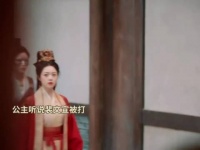 公主：我那柔弱不能自理的驸马