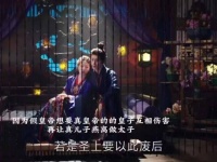 假皇帝想要真皇帝的皇子互相伤害，再让真儿子燕离做太子