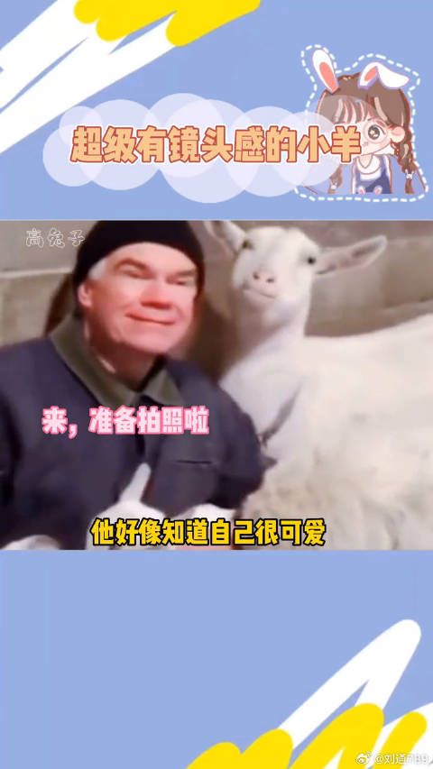 谁会不爱一只有镜头感饿小羊羔子呢~可爱