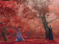 小夭向玱玹宣誓嫁丰隆，誓言助其实现宏愿