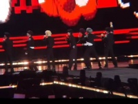 网友分享可爱视频引关注