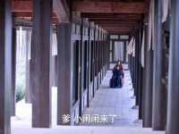 范闲和大宝的互动太甜了,我也好想被小闲闲牵一次手呀!
