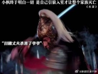 小枫终于明白 是自己引狼入室才让整个家族灭亡