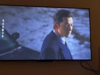一个值得收藏并多次回味的精彩片段 我是一只小小鸟