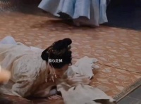 李同光与初月互动引关注