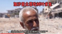 加沙老人吃树叶求生，战争封锁致人道危机加剧