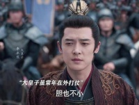 范闲的处境确实令人心疼，其他皇子都有母妃庇护，唯独他孤身一人