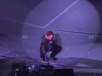 感谢环节 贝壳女孩