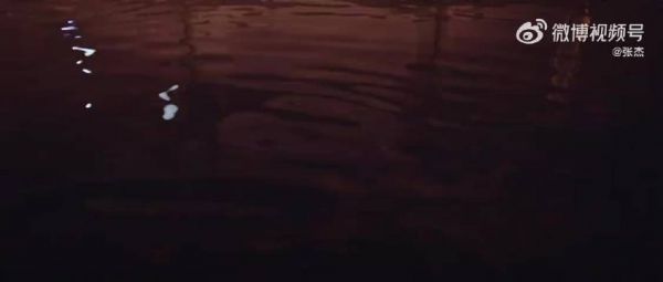张杰出道21周年发布国风MV《树呢》致敬初心