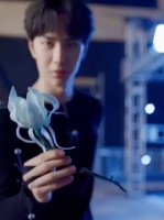 长空之王超话粉丝深夜表白偶像