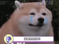 大唐女仵作春条第三季登场，验尸现场清场