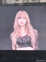 我宣布这就是lisa进行曲！