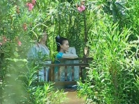 拥有剧抛脸的专业演员