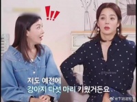 尹世雅听到蔡琳以前家里养过五只狗，表示惊讶！