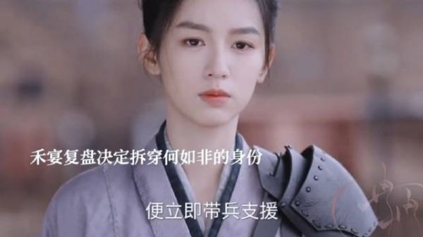 禾宴欲揭何如非身份,徐相警告,楚昭识破婿娉婷再出手