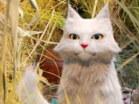 大狸子和陈拾真的太让人上头了叭！周奇