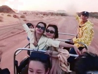 最亲密的伙伴就在身旁